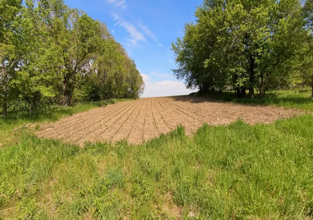 Homes for sale in Oronoco, MN | Tbd 31st Ave Nw, Oronoco, MN 55960 | MLS# 7083677