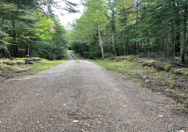 Photo 74 of Single family home for sale at 51301 Pine Point Rd, Bigfork, MN 56628 | MLS# 7083722 | Listing updated on 2026-09-22