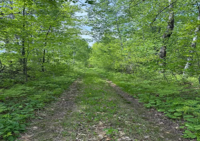 1st image of Tbd Range Line Rd, Kerrick, MN 55756 | MLS# 7083736