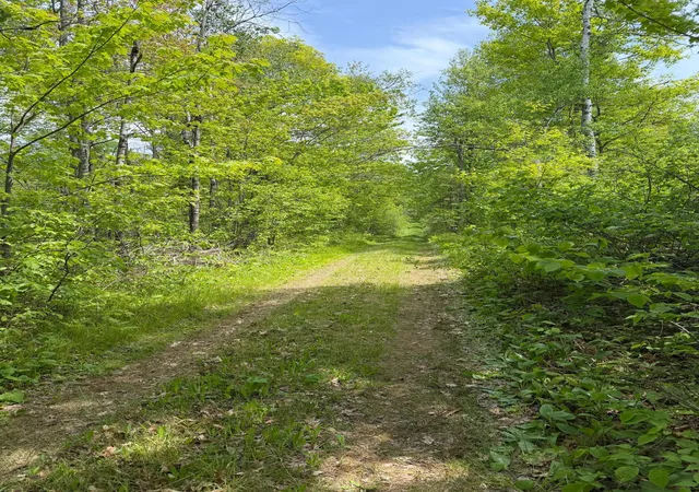 2nd image of Tbd Range Line Rd, Kerrick, MN 55756 | MLS# 7083736