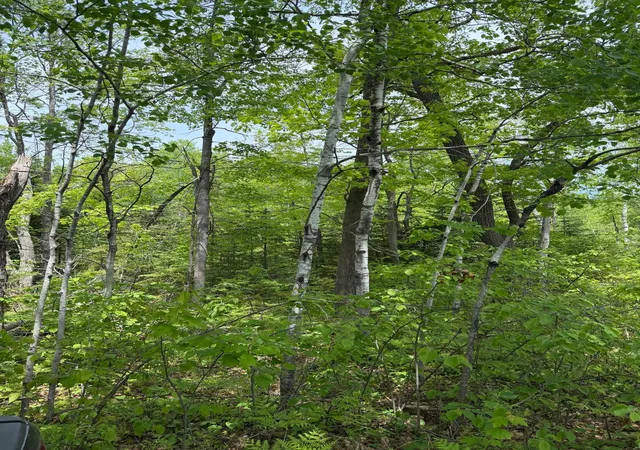 3rd image of Tbd Range Line Rd, Kerrick, MN 55756 | MLS# 7083736
