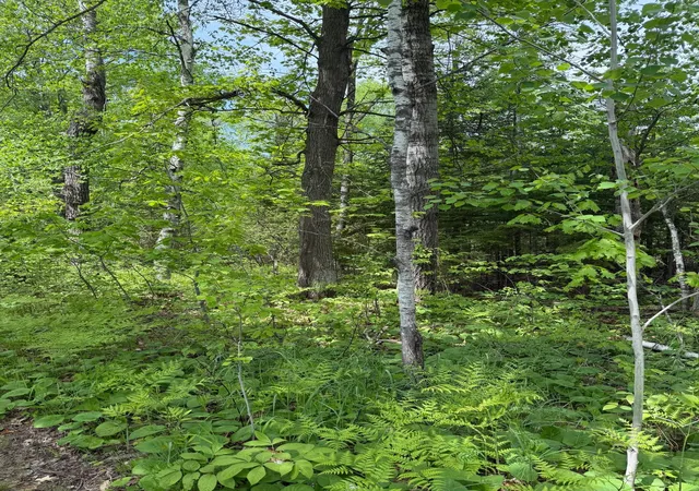 5th image of Tbd Range Line Rd, Kerrick, MN 55756 | MLS# 7083736