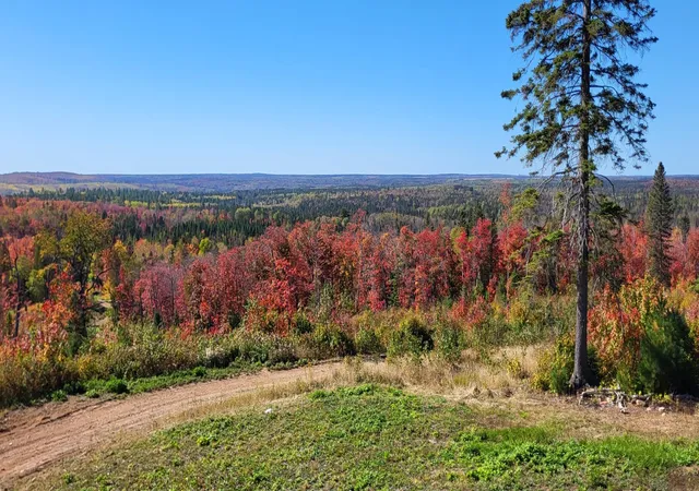 51st image of 5241 Hut Two Rd, Finland, MN 55603 | MLS# 7083759