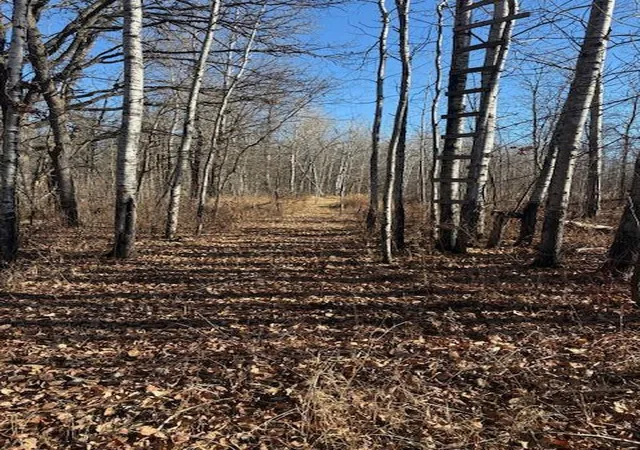 29th image of 226th 226th, Mc Gregor, MN 55760 | MLS# 7083838