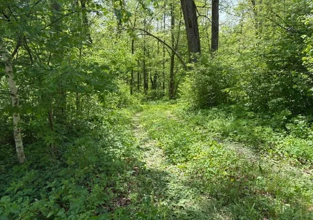Photo 3 of Land for sale at Tbd 226th, Mc Gregor, MN 55760 | MLS# 7083838 | Listing updated on 2026-06-29