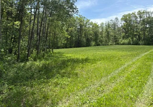 Photo 4 of Land for sale at Tbd 226th, Mc Gregor, MN 55760 | MLS# 7083838 | Listing updated on 2026-06-29