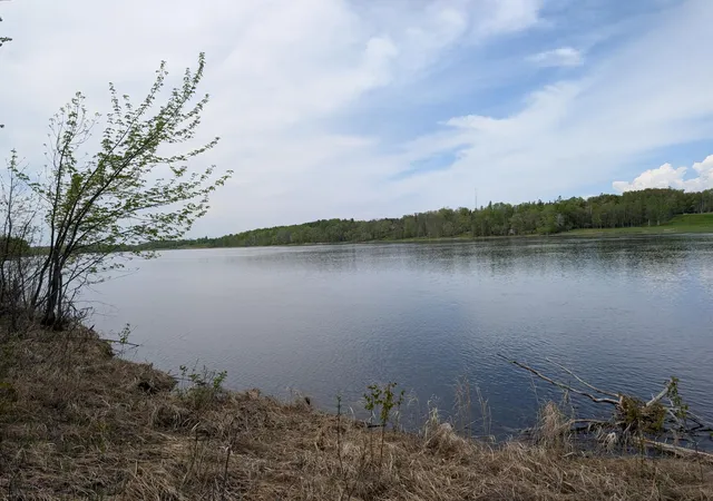 Homes for sale in Baudette, MN | Tbd Town Road 117, Baudette, MN 56623 | MLS# 7084196