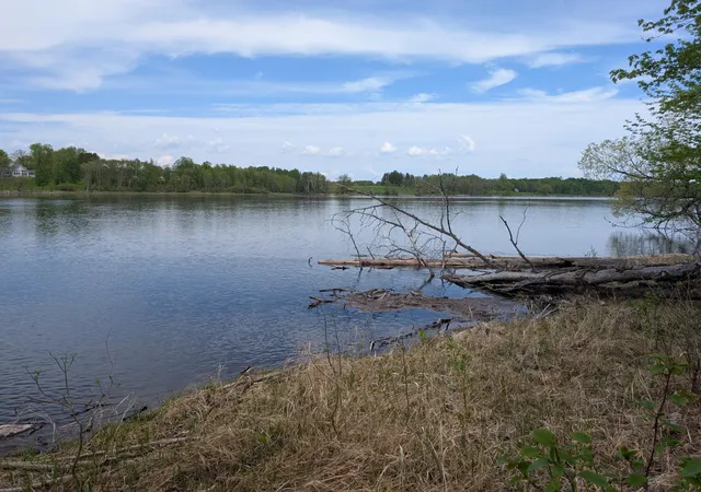 Homes for sale in Baudette, MN | Tbd Town Road 117, Baudette, MN 56623 | MLS# 7084196