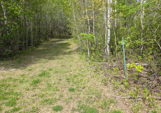 Homes for sale in Baudette, MN | Tbd Town Road 117, Baudette, MN 56623 | MLS# 7084196