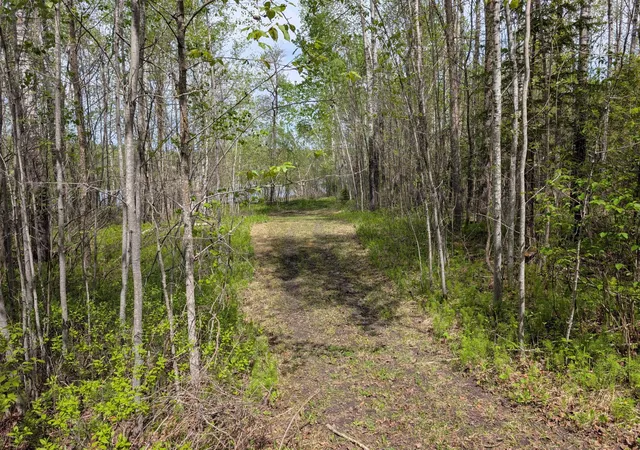 Homes for sale in Baudette, MN | Tbd Town Road 117, Baudette, MN 56623 | MLS# 7084196
