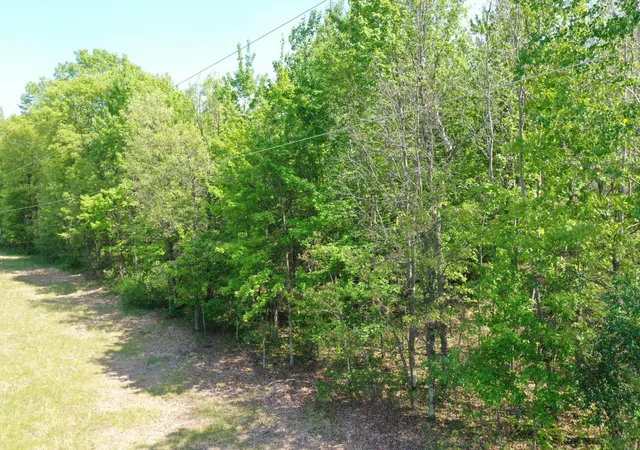 Homes for sale in Saint Croix Falls, WI | Xxx Evergreen Ave, Saint Croix Falls, WI 54024 | MLS# 7084476