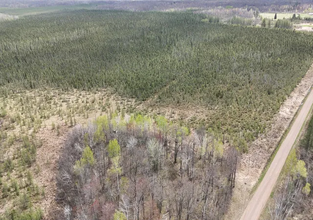 Photo 4 of Sale Pending at Tbd 30th Avenue, Isle, MN 56342 | MLS# 7084508 | Listing updated on 2026-10-02