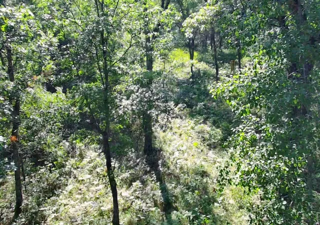 Photo 4 of Land for sale at 30057 Crystal Lake Dr, Danbury, WI 54830 | MLS# 7084658 | Listing updated on 2026-06-02