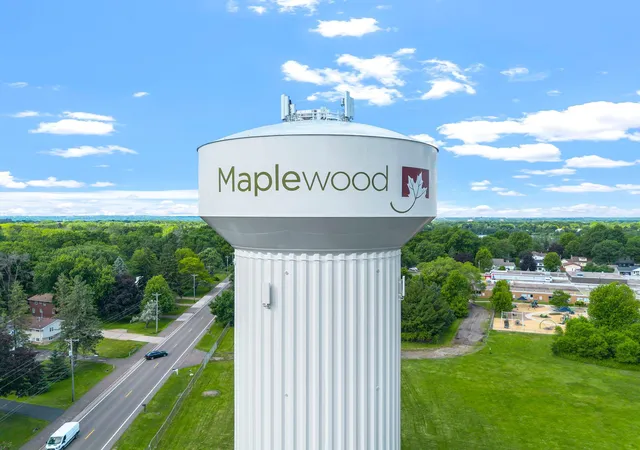 Homes for sale in Maplewood, MN | 1010 Ferndale St N, Maplewood, MN 55119 | MLS# 7084733