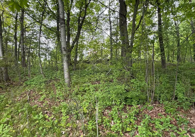 33rd image of 121 W Buffalo St, Duluth, MN 55811 | MLS# 7085010