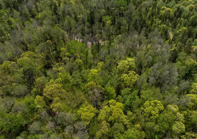 4th image of Tbd Hidden Creek Ct, Pequot Lakes, MN 56472 | MLS# 7085136