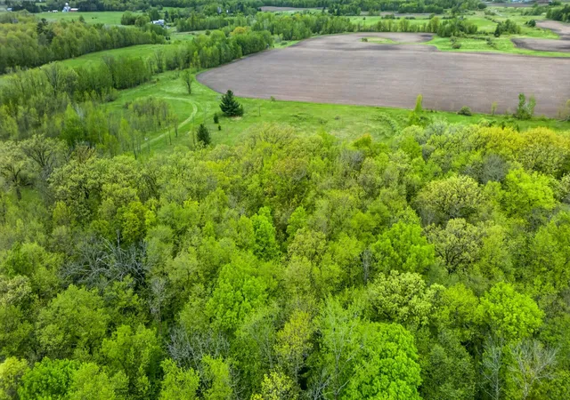 Homes for sale in Grasston, MN | Xx Linden Tree Rd, Grasston, MN 55030 | MLS# 7085271