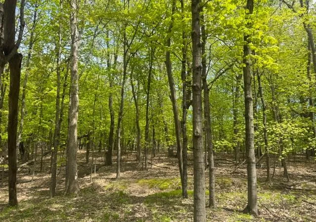 2nd image of Tbd Maple View Ct, Excelsior, MN 55331 | MLS# 7085403