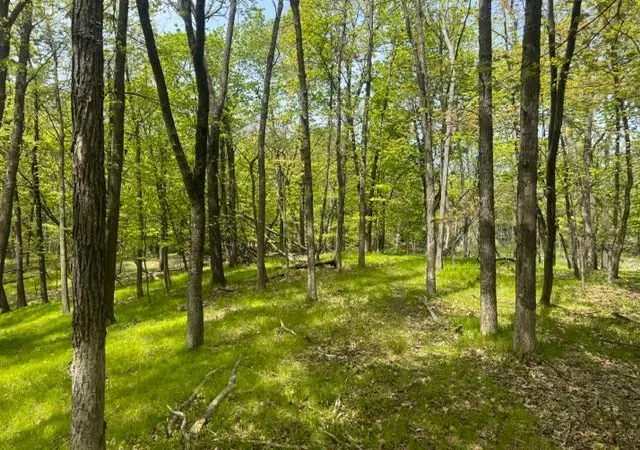 Photo 3 of Land for sale at Tbd Maple View Ct, Excelsior, MN 55331 | MLS# 7085403 | Listing updated on 2026-06-03