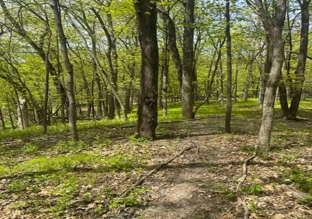 Photo 3 of Land for sale at Tbd Maple View Ct, Excelsior, MN 55331 | MLS# 7085403 | Listing updated on 2026-06-03