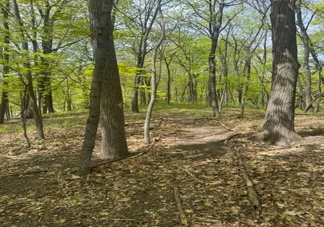 5th image of Tbd Maple View Ct, Excelsior, MN 55331 | MLS# 7085403