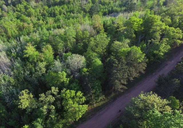 4th image of Lot 19 Aspen Hill Trailway, Webster, WI 54893 | MLS# 7085499