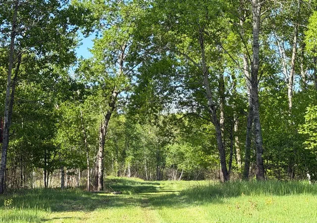 Homes for sale in Sandstone, MN | 54003 Dollar Lake Rd, Sandstone, MN 55072 | MLS# 7085590