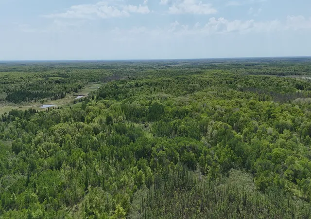 70th image of 54003 Dollar Lake Rd, Sandstone, MN 55072 | MLS# 7085590