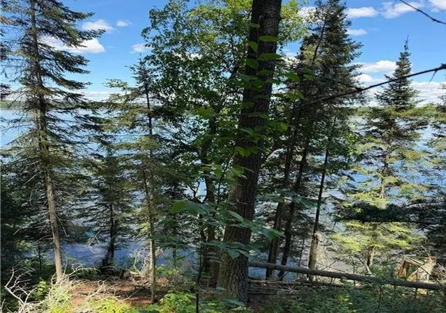 Photo 3 of Land for sale at Tbd Muskie Bay Rd NE, Longville, MN 56655 | MLS# 7085591 | Listing updated on 2026-09-02