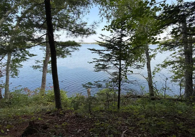 Photo 4 of Land for sale at Tbd Muskie Bay Rd NE, Longville, MN 56655 | MLS# 7085591 | Listing updated on 2026-09-02