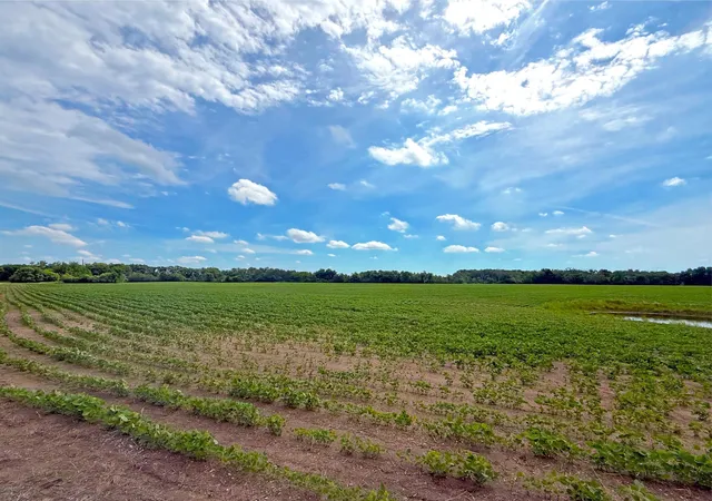 94th image of 1383 120th St Ne, Monticello, MN 55362 | MLS# 7085664