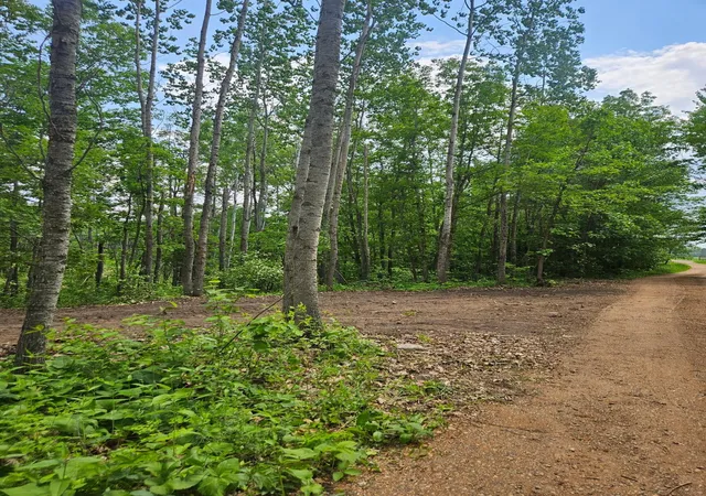 2nd image of Parcel E Rogue Wy, Ironton, MN 56455 | MLS# 7085724