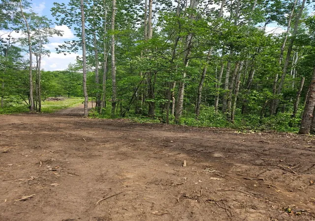 3rd image of Parcel E Rogue Wy, Ironton, MN 56455 | MLS# 7085724