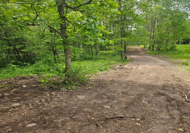 4th image of Parcel E Rogue Wy, Ironton, MN 56455 | MLS# 7085724
