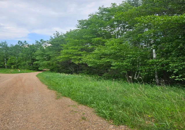 5th image of Parcel E Rogue Wy, Ironton, MN 56455 | MLS# 7085724