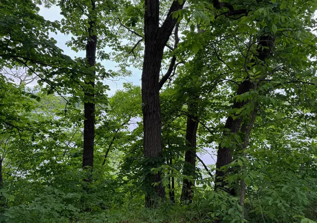 47th image of 14314 Stocking Lake Rd, Menahga, MN 56464 | MLS# 7085761