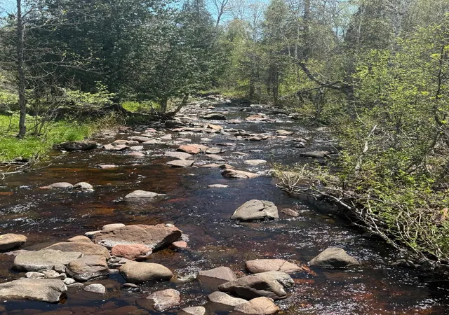14th image of Tbd Crown Creek Spur Rd, Finland, MN 55603 | MLS# 7085778