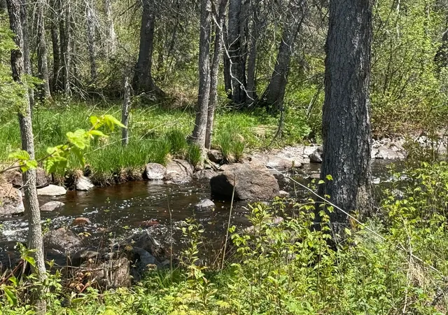 1st image of Tbd Crown Creek Spur Rd, Finland, MN 55603 | MLS# 7085778