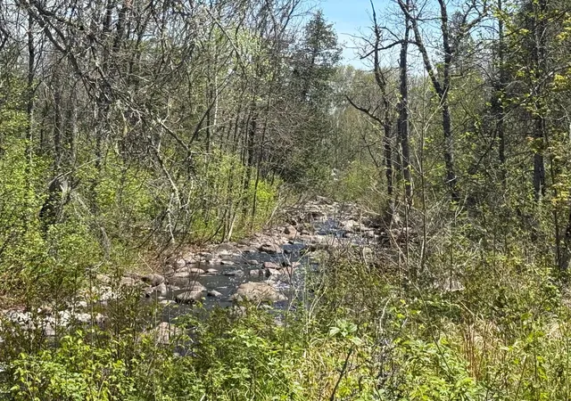 2nd image of Tbd Crown Creek Spur Rd, Finland, MN 55603 | MLS# 7085778