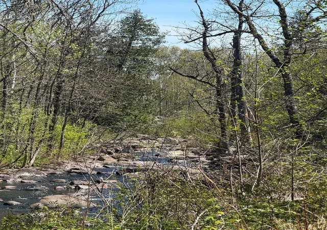 3rd image of Tbd Crown Creek Spur Rd, Finland, MN 55603 | MLS# 7085778
