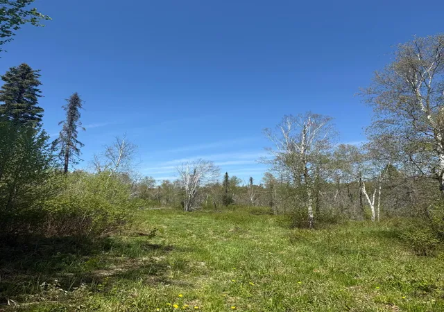 5th image of Tbd Crown Creek Spur Rd, Finland, MN 55603 | MLS# 7085778