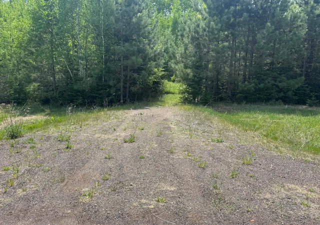 Homes for sale in Cromwell, MN | Tbd County Road 4, Cromwell, MN 55726 | MLS# 7085791