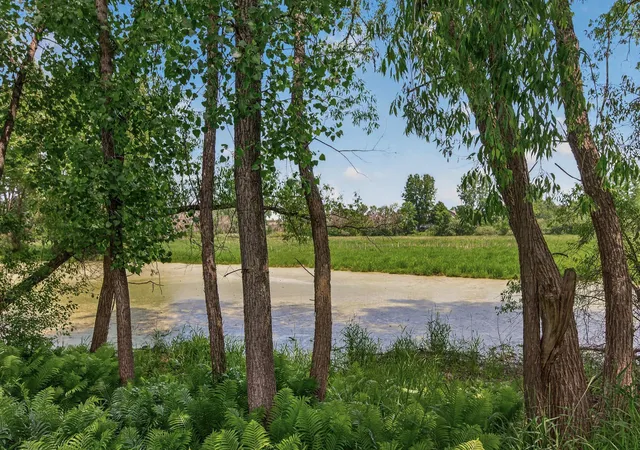 Homes for sale in Woodbury, MN | 3351 N View Ln, Woodbury, MN 55125 | MLS# 7085797
