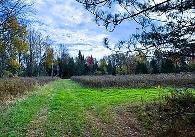 Homes for sale in Bruce, WI | Na County Rd O, Bruce, WI 54819 | MLS# 7085847