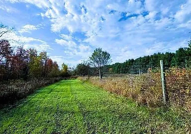 Homes for sale in Bruce, WI | Na County Rd O, Bruce, WI 54819 | MLS# 7085847