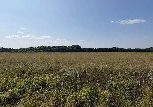 Photo 1 of Sale Pending at 34660 Grand Ave, Stacy, MN 55079 | MLS# 7086018 | Listing updated on 2026-08-21