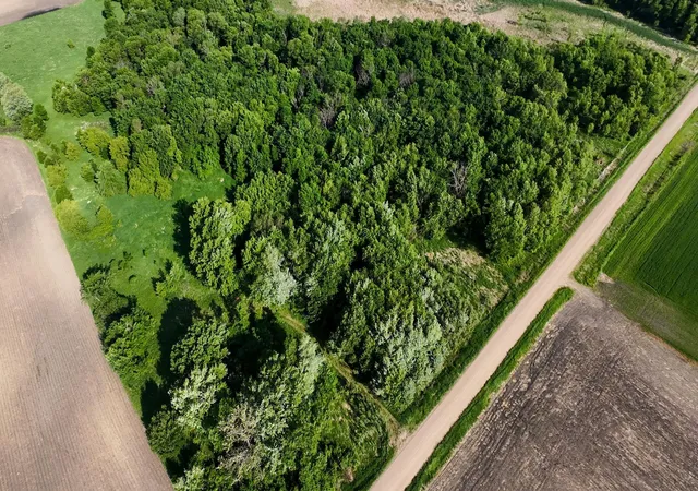 2nd image of 21810 Gonvick Ave, Morristown, MN 55052 | MLS# 7086217
