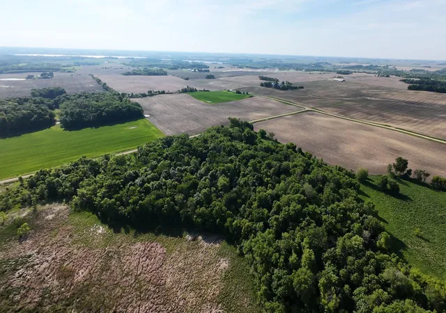 Photo 3 of Land for sale at Tbd Gonvick Ave, Morristown, MN 55052 | MLS# 7086219 | Listing updated on 2026-06-07