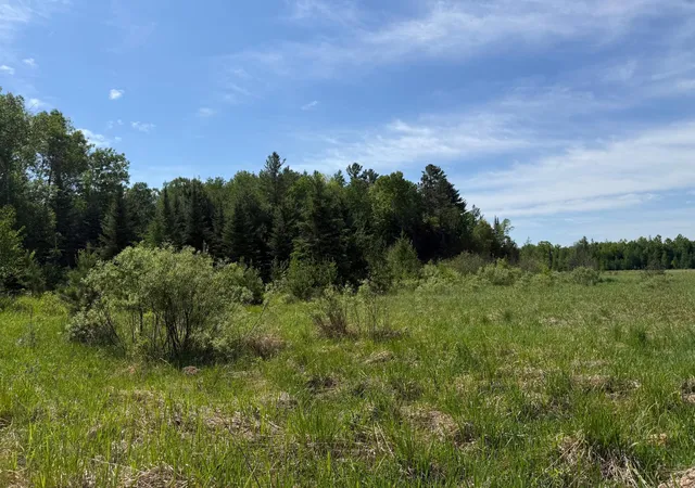 2nd image of 42330 Rutabaga Rd, Askov, MN 55704 | MLS# 7086405