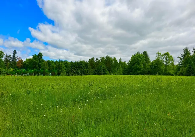 Photo 3 of Land for sale at N3860 Kostka Rd, Ladysmith, WI 54848 | MLS# 7086448 | Listing updated on 2026-10-01